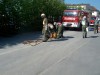 THL 2007 039.jpg